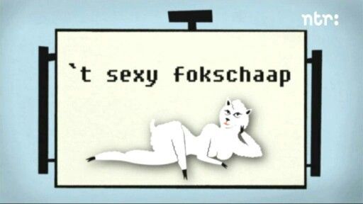 fokschaap