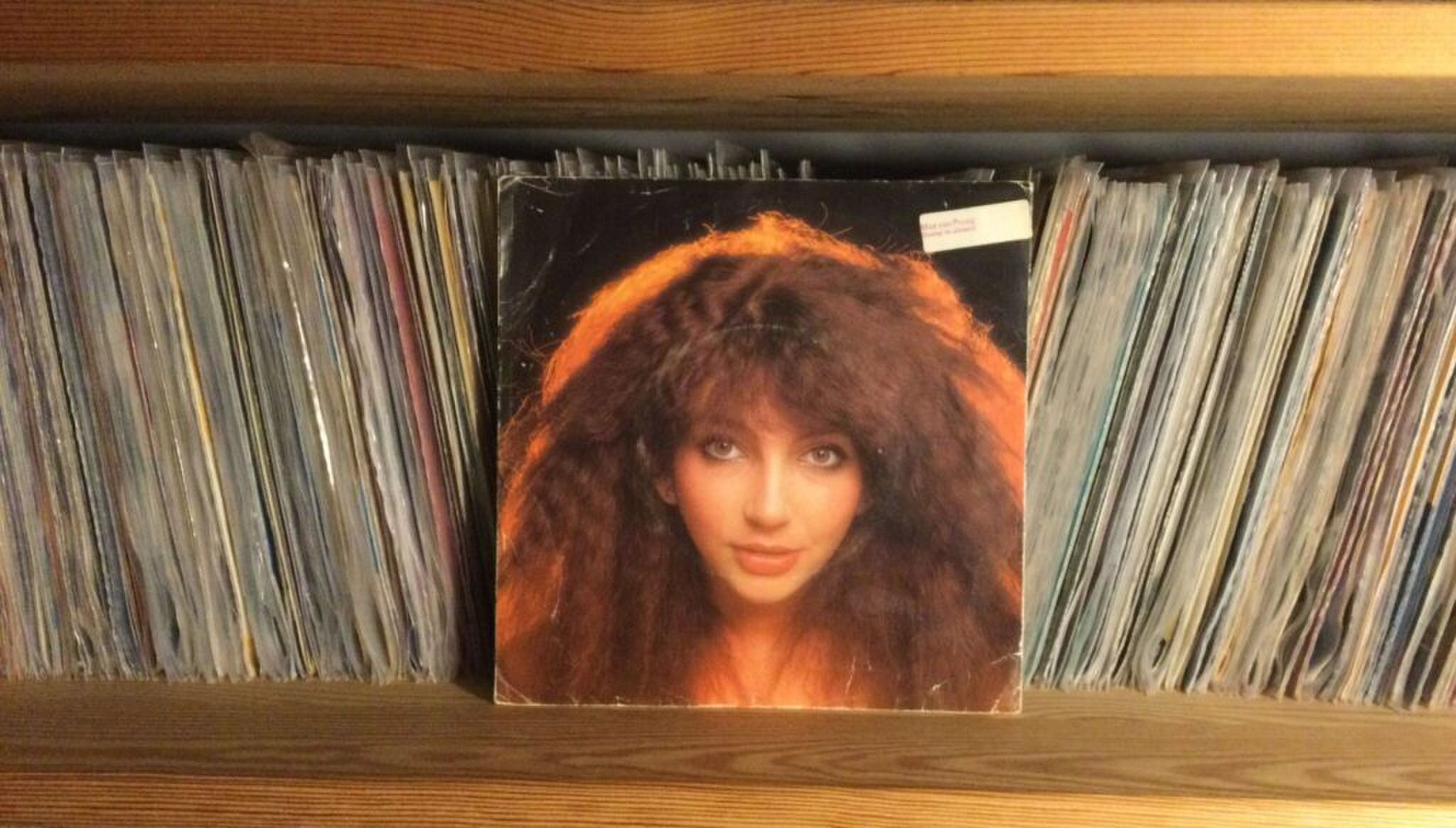 Kate Bush