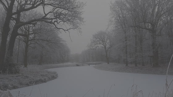 winter