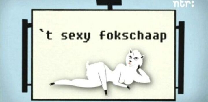 fokschaap
