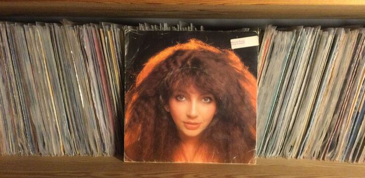 Kate Bush