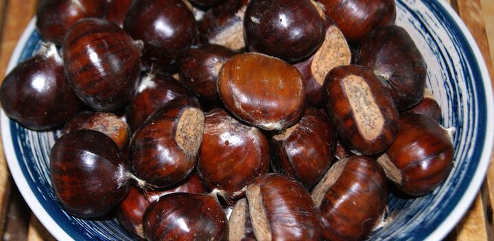 kastanje in schaal
