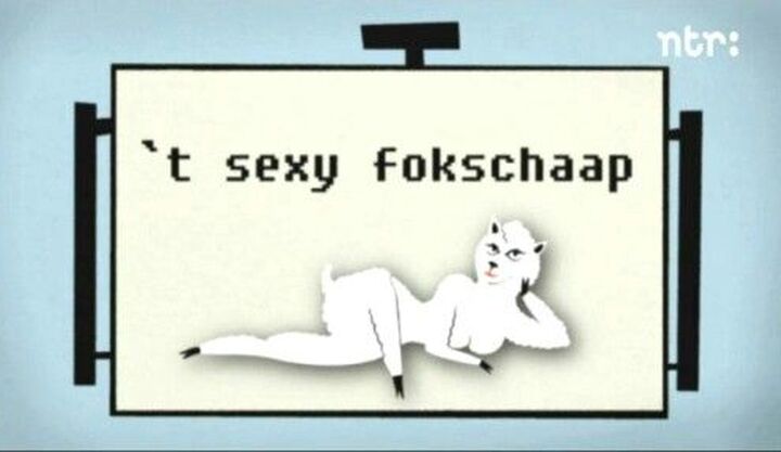 fokschaap
