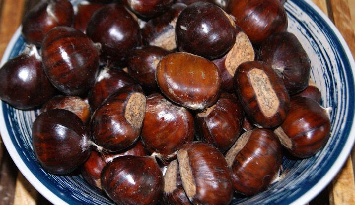 kastanje in schaal